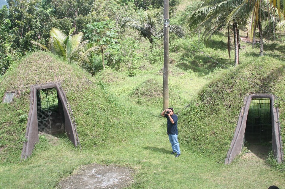 Zoocolate Thrills replica of chocolate hills as animal sanctuary