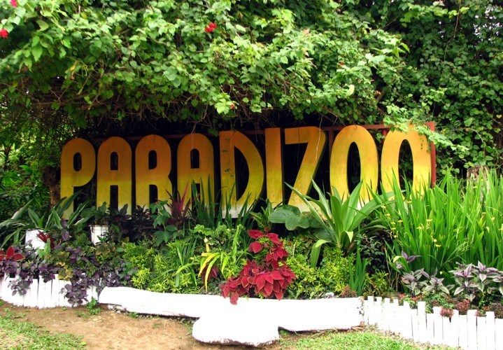 Image result for paradizoo tagaytay