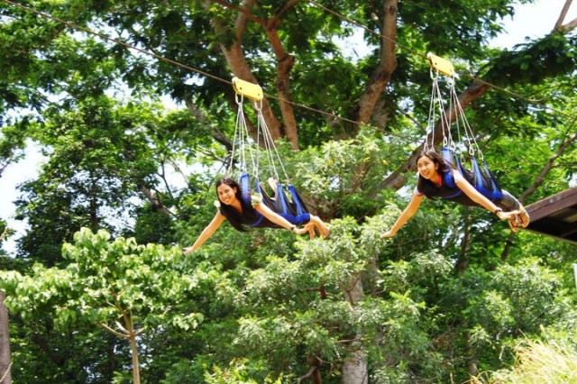 Zoobic Safari Zoobic Safari Zip Line Ride