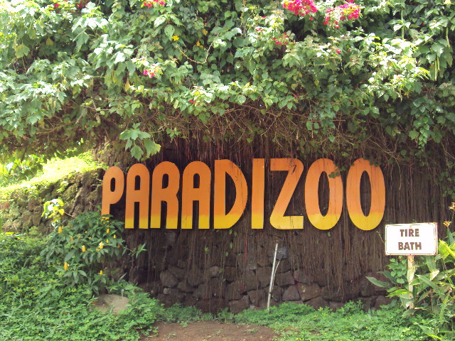 paradizoo (42)