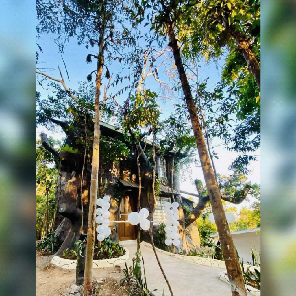 TREEHOUSE 01-8